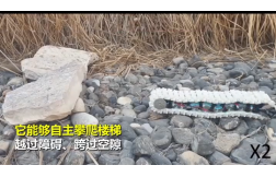&#107;&#98;&#20307;&#32946;&#40;&#20013;&#22269;&#41;&#23448;&#26041;&#32593;&#31449;&#45;&#30331;&#24405;&#20837;&#21475;