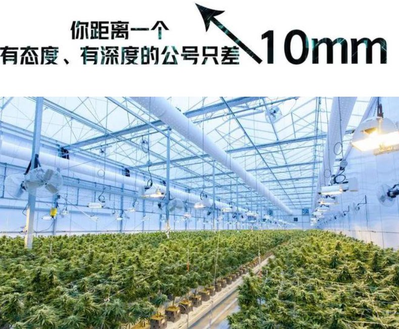 &#107;&#98;&#20307;&#32946;&#40;&#20013;&#22269;&#41;&#23448;&#26041;&#32593;&#31449;&#45;&#30331;&#24405;&#20837;&#21475;
